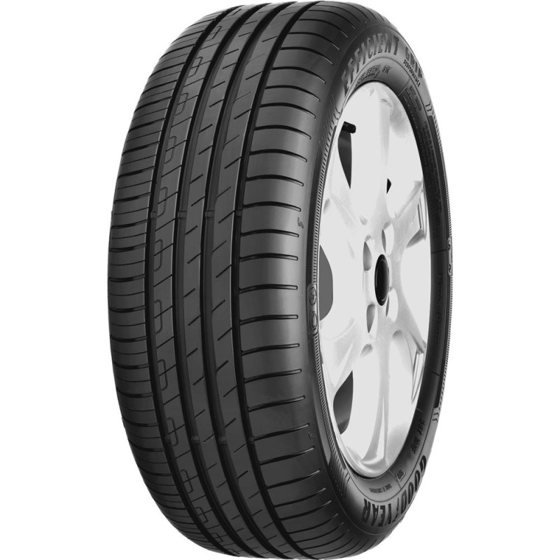 205/55R17 GOODYEAR EFFICIENTGRIP PERFORMANCE 91V ABB69 - PadangosGo.lt