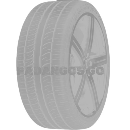 245/45R19 PIRELLI PZERO (PZ5) 102Y XL CAB70 - PadangosGo.lt