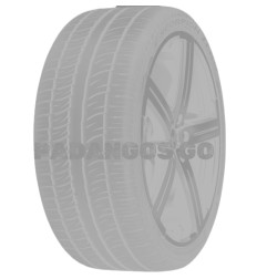 275/45R21 PIRELLI PZERO (PZ5) 107Y MO BAB70 - PadangosGo.lt