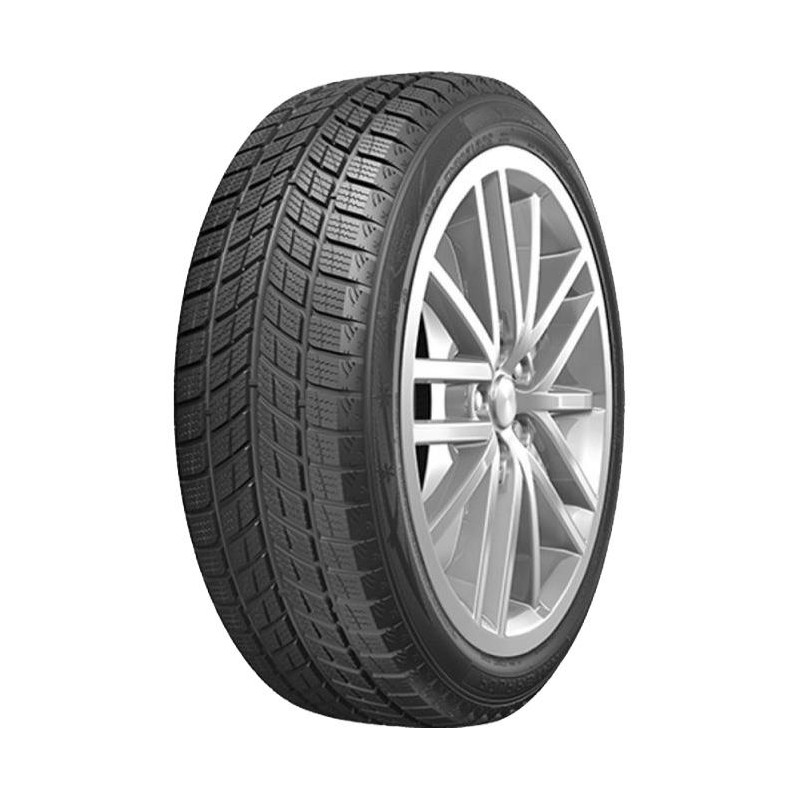 315/35R20 DOUBLESTAR DW09 106T DOT22 Studless DCB73 3PMSF M+S - PadangosGo.lt